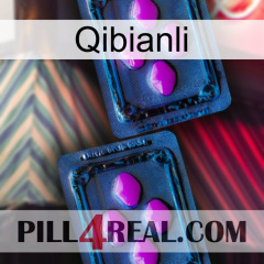 Qibianli 03
